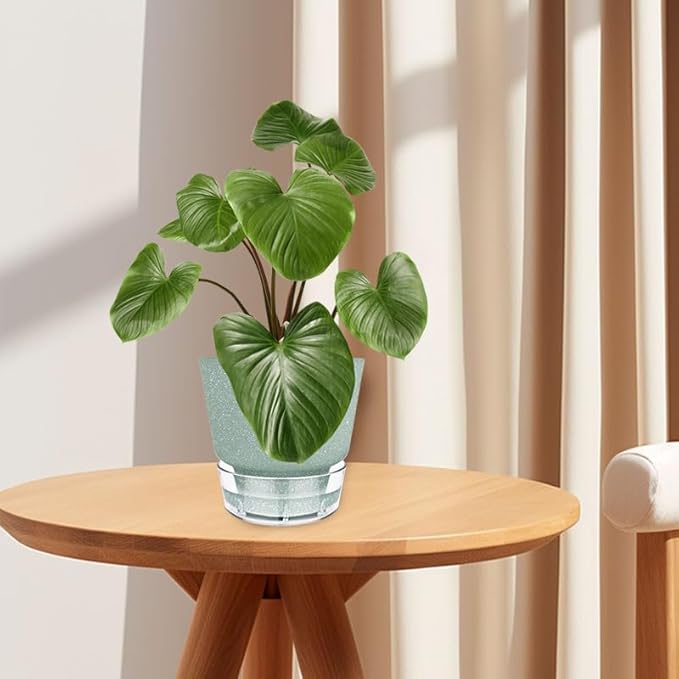 Green Self Watering Plant Pots - 6" Planters for Indoor Plants - Pack of 5 Flower Pots - Plant Pots with Drainage Hole and Tray Saucer (Frosted Dark Green)