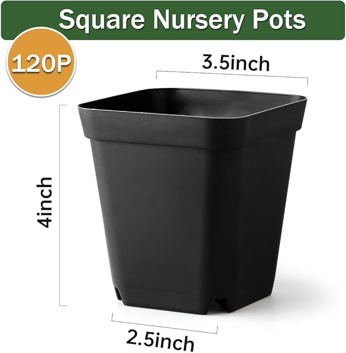 BTPLASTIK Small Plant Pots 3.5 Inch, 120 Pcs Nursery Pots with Drainage Holes, Durable Plastic Succulents Pots for Seedlings, Cuttings (Black)