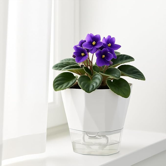 10 Pack Self Watering Pots for Indoor Plants, 6.7 Inches Self Watering Planters African Violet Pots Clear Pots for Herb Orchid Flower Houseplant, White