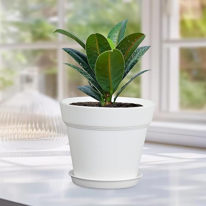 6 inch Plastic Nursery Pots, 16 Pack Plant Pots for Indoor Outdoor Plants, Flower Pots with Drainage Holes and Saucers, Decorative Seedling Starter Planters for House Plants, White