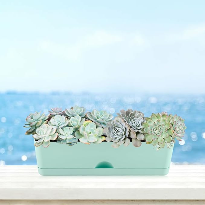 6 Pack Rectangle Planter 16 Inch Window Boxes Planters Rectangular Large Window Sill Planters Indoor Self Watering Plant Pots with Drainage Holes and Saucers Succulent Herb Flower Pots, Macaron Color