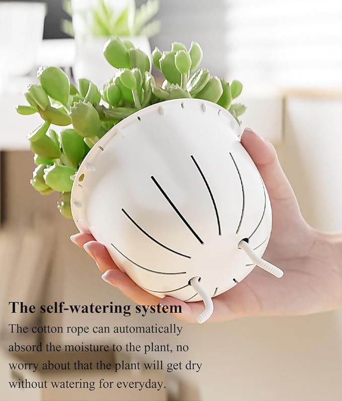 Self Watering Pots for Indoor Plants, Flower Pots, Self Watering Plant Pot-3pcs 6inch Clear