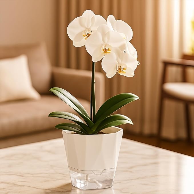 12 Pack Self Watering Plant Pots 6 Inches Self-Watering Planters for Indoor and Outdoor Plants African Violet Succulent Pots Clear Pot for Plants Large Herb Orchid Flower Houseplant Plant, White