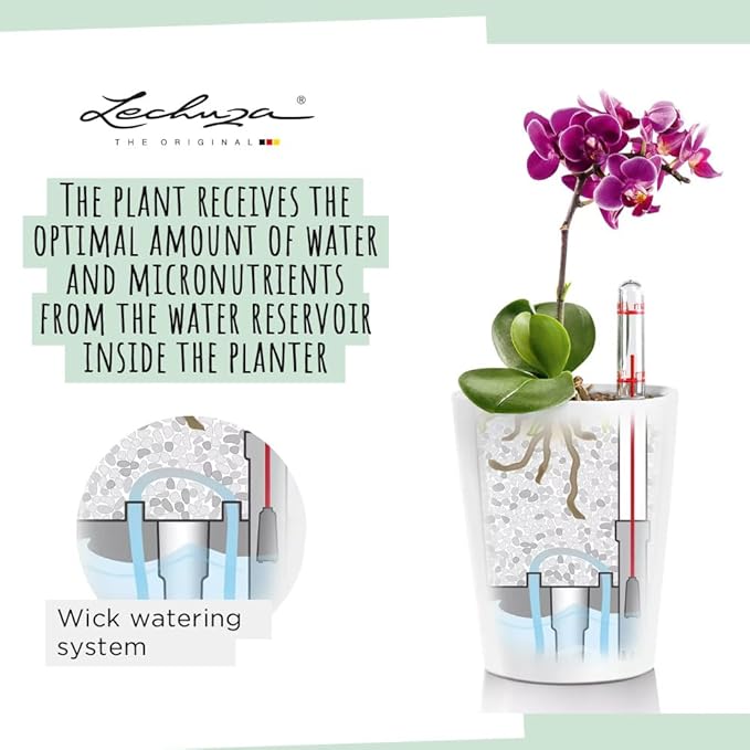 Lechuza 14903 Deltini Self-Watering Planter for Indoor and Outdoor Use, 6" x 6" x 7", Charcoal