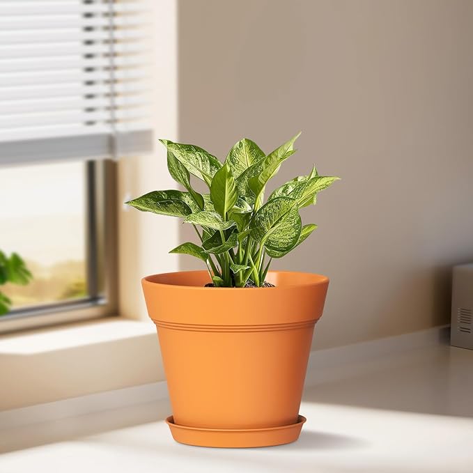 5 Inch Plastic Plant Pots with Drainage Holes and Trays – 6 Pack Small Nursery Pots for Indoor & Outdoor House Plants and Flowers, Seedling Starter Planters, Terracotta