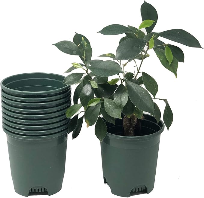 5.5 Inch Gardening Flower Pots 10-Pack Green Pot Liners 0.5 Gallon Nursery Pot Plastic Planters for Outdoor Indoor Plants with Drainage Holes