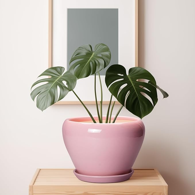10 Inch Plant Pot - Ceramic Planter for Indoor Plants, Glaze Modern Round Planter with Drainage Hole and Saucer, Gifts for Plant Lovers, Office Patio Home Room Decor, Pink