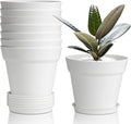T4U 4 Inch Plant Pots 8-Pack, Small Flower Pots with Drainage Hole and Saucer, Decorative Nursery Pot Bulk for African Violet, Snake Plant, Succulent, Herb and Plants Indoor (8 Pcs 4" Pots, White)