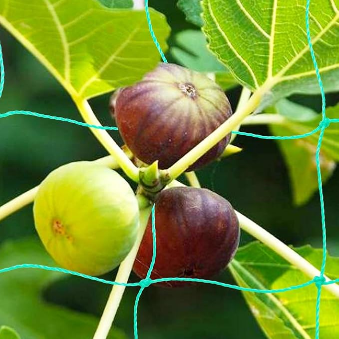 Pack of 2 Cucumber Tomato Trellis Netting, Heavy Duty Garden Netting for Climbing Plants Support, Pea, Grape, Bean, Fruit, Vegetables - 4" Mesh Size, 3Ft x 6Ft
