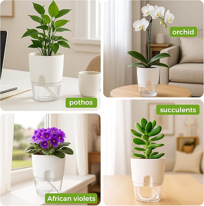 Planterhoma 8 Pack Self Watering Pots for Indoor Plants, 6 Inch Plant Pot Plastic Self Watering Planter for Orchid, African Violet, Small Clear Flower Pots with Drainage Holes and Wicking Rope, White