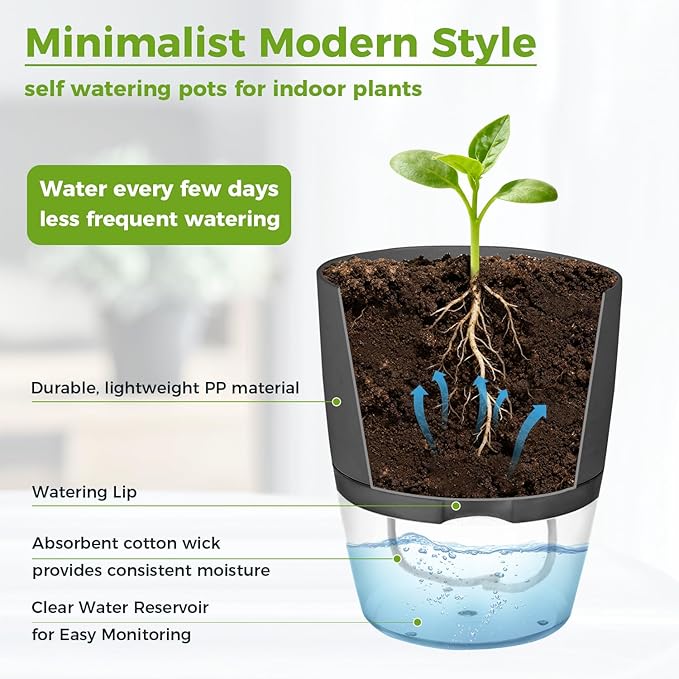 3 Pack Self Watering Pots for Indoor Plants, PlanterHoma 6 Inch Plant Pot Plastic Self Watering Planter for Orchid, African Violet, Small Clear Flower Pots with Drainage Holes and Wicking Rope, Grey