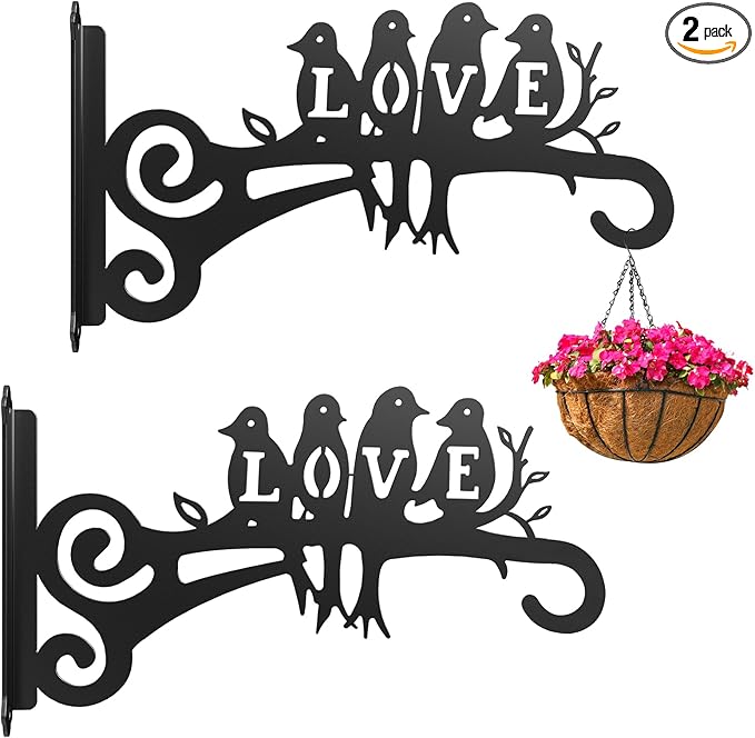 2-Pack Aesthetic Plant Hangers Outdoor and Indoor – 10 Inch Metal Hanging Plant Bracket with Beautiful Bird Pattern – Anti Rust Plant Hooks for Hanging Baskets, Bird Feeder, Windchime, Lantern