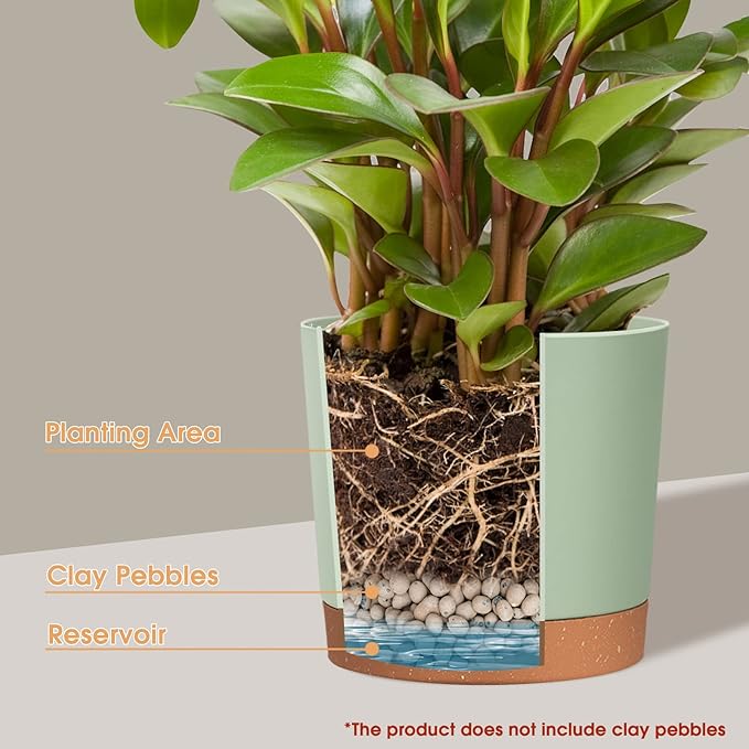 kubvici Plant Pots for Indoor Plants, 2 Pack 10 Inch Plant Pot Plastic Flower Pots Planters with Drainage Saucer for Indoor Outdoor Garden Home (10" Green & White)