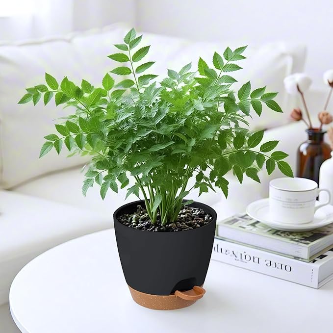 4-Pack Plant Pots with Drainage 6.5/6/5.5/5 Inch, Self Watering Pots for Indoor Plants, Planters for Indoor Outdoor Plants, Plastic Flower Pot, Planter for Indoor Outdoor (Black)