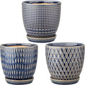 Oairse 4 inches Ceramic Planter Pots 3 Set of Small Round Flower Pots with Drainage Hole and Ceramic Tray for Succulents Cactus Indoor Outdoor Garden Home Windowsill