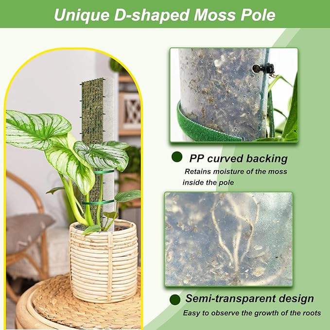 60"/40"/24" Metal Moss Pole, D Shape Sphagnum Moss Pole, Moss Poles for Climbing Plants, Monstera, Indoor Climbing Plants (3 Each of 60" 40" 24")