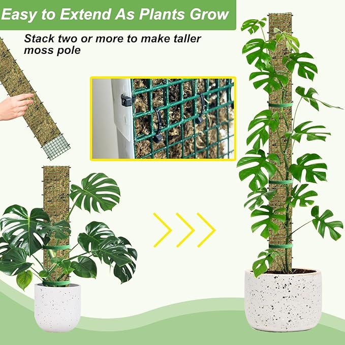 40" Metal Moss Pole, D Shape Sphagnum Moss Pole, Moss Poles for Climbing Plants, Monstera, Indoor Climbing Plants (2Pcs 40")