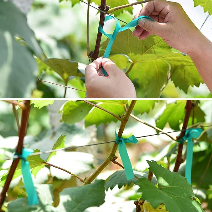 2 Pcs 150 Feet x 1/2" Wide Stretch Tie Tape Green Plant Garden Tie, Garden Vinyl Stake for Branches, Climbing Planters, Flowers