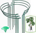 Joyhalo 6 Pack Plant Support Stakes, 16 Inch Peony Cages and Supports, Flower Stakes with 15 Pcs Plant Labels, Peonies Support Cages Garden Sticks for Plants Tomato, Hydrangea, Rose, Hyphosis