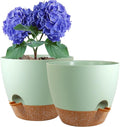 10 inch Self Watering Pots, 2 Pack Plastic Planters with Mesh Drainage Holes for Garden Plants and Flower, Plants Pots with Deep Reservoir for Indoor Outdoor Plants, Green with Brown