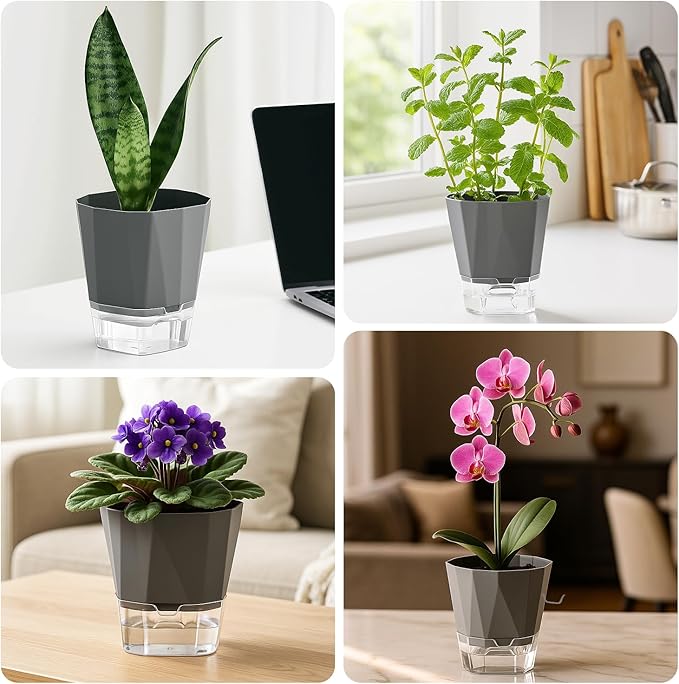 2 Pack Self Watering Plant Pots 8.4" Self Watering Planters for Indoor and Outdoor Plants African Violet Self Watering Clear Pots for Plants Large Herb Orchid Flower Houseplant Pots, Dark Grey