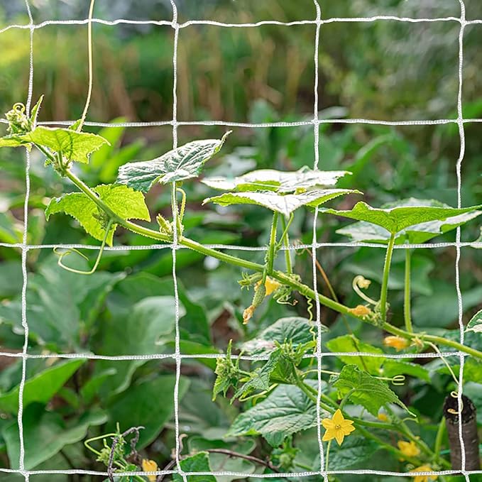 Tcamp Heavy-Duty Polyester Garden Trellis Netting Plant Climbing Net for Growing Vines Plants Vegetables Fruits Flowers, White Grow Tent (5Ft x15Ft, 3.5" Opening Mesh, 1 Pack)