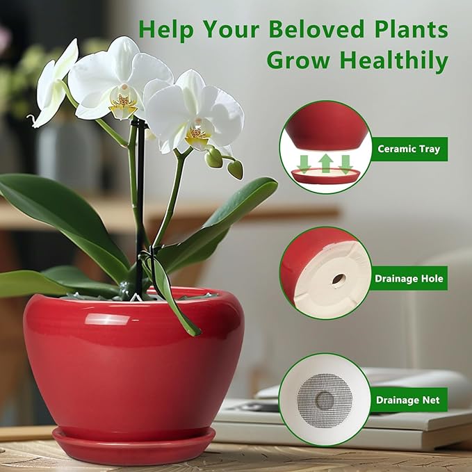 6 Inch Plant Pot - Glaze Modern Ceramic Planter for Indoor Plants, Succulent Pot with Drainage Hole and Saucer, Office Garden Home Decor, Housewarming Gift, Red