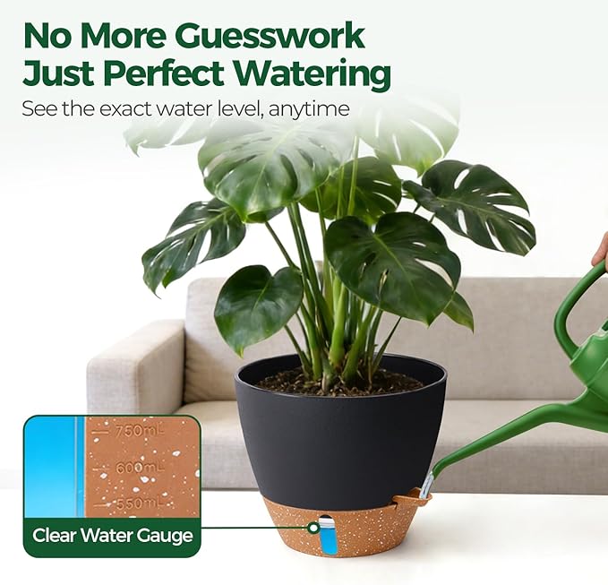 2 Pack 10 Inch Self Watering Pots - Water Level Indicator & Deep Reservoir, Mess-Free Planter for Busy People, Beginners & Gardeners, Fiddle Leaf Fig, Monstera, ZZ Plants, Indoor Outdoor Use (Black)