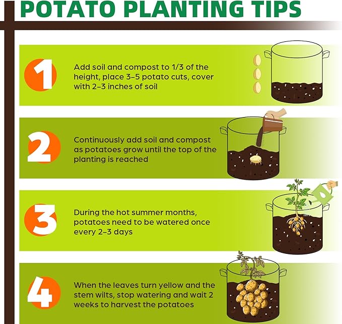 10 Pack 20 Gallon Grow Bags, Thickened Nonwoven Fabric Planter Pots with Handles, Heavy Duty 300G Garden Pots for Tomato, Potato and Vegetable