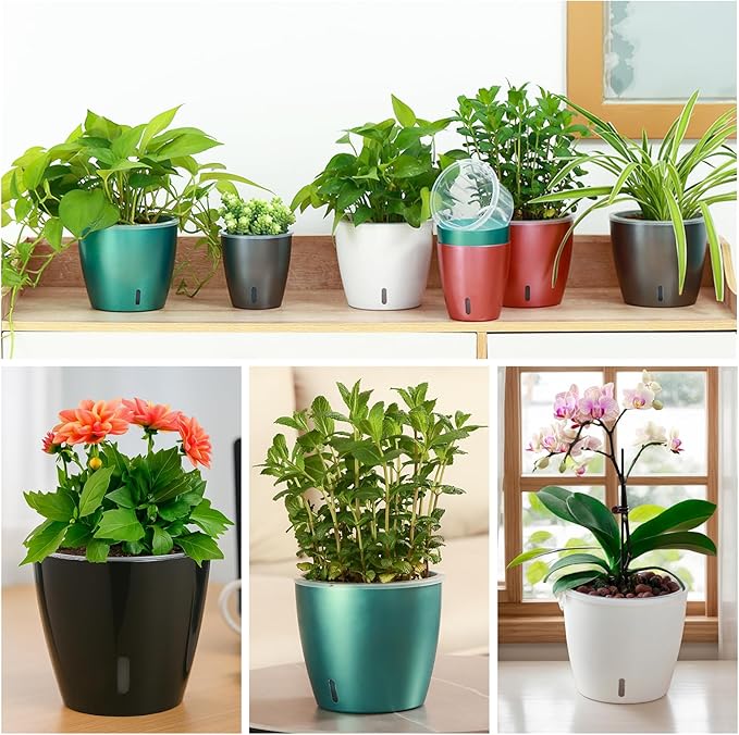 Self-Watering Pots for Indoor Plants, 6-Pack 6.7'' Self Watering Planter with Drainage Holes, Small African Violet Pots with Water Indicator, Clear Wick Pot, Black