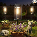 Bright Solar Lights Outdoor, 6 Pack Solar Pathway Lights Outdoor, Auto On/Off, IP65 Waterproof Solar Garden Lights Solar Powered Landscape Lighting for Yard Patio Walkway Driveway Pathway