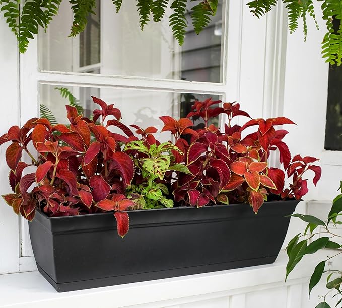 The HC Companies 24 Inch Eclipse Window Planter Box with Drainage Holes & Attached Saucer, Lightweight UV-Resistant Plastic Indoor & Outdoor Planters, 2-Pack Flower Box for Garden & Home Decor, Black