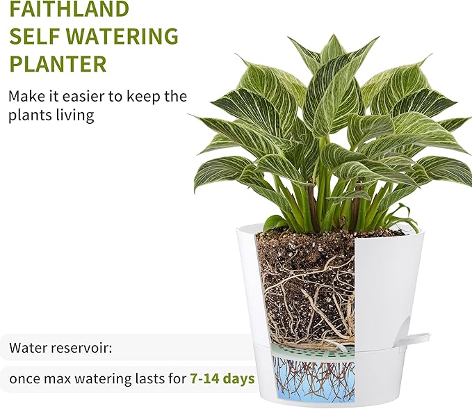 FaithLand 2-Pack 9 Inch Planter Pots for Indoor Outdoor Plants, Self Watering Flower Pots with Deep Reservoir, White with Terracotta …