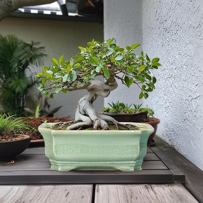 Bonsai Pots - 13.7 Inch Rectangle Ceramic Pots for Plants, Large Succulent Planter with Drainage Hole, Decorative Planters for Indoor Outdoor, Garden House Decor, Housewarming Gifts, Green