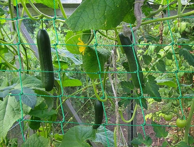 Trellis Netting for Climbing Plants - Heavy Duty Garden Trellis Netting for Cucumber, Vine, Fruits & Vegetables Tomato Plants Trellis Net, Climbing Vining Plants (1-Pack 24.6' x 6.6'Ft)