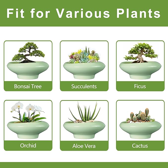 Ceramic Bonsai Pots - Large Succulent Planter 13 Inch Plant Pot Indoor Succulent Pot with Drainage Hole Outdoor Planter Bonsai Tree Pot for House Home Garden Office Decor Green