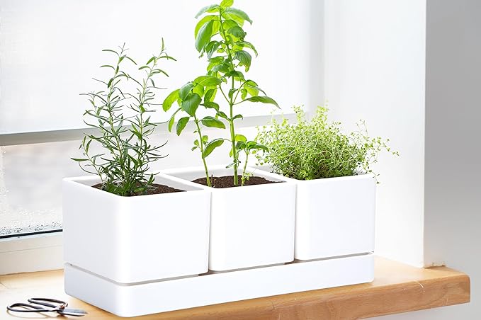 D'vine Dev Herb Garden Planter Set, Plastic Plant Pots with Drainage and Saucer, Indoor Succulent Cactus Vegetable Pot for Windowsill, Garden Balcony, White, Set of 1, 76-V-A-1
