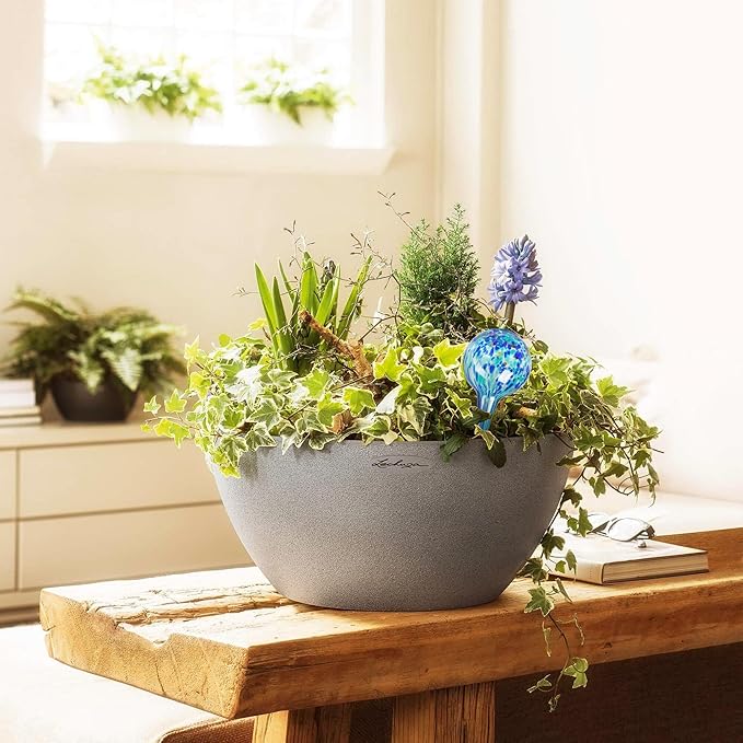 Plant Watering Globes Set of 6 - Large Glass Self Watering Bulbs Up to 7 Days of Irrigation - for Indoor & Outdoor Plants - Multicolor, Automatic, Glass Watering Bulbs for Daily Use, Watering Devices