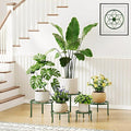 5 Pack Potted Plant Holder for Garden Home 5-Pack Metal Plant Stand Indoor Outdoor Rustproof Iron Corner Flower Pot Stand Holder for Homme Garden