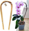 Avalution 16" Natural Bamboo Plants Trellis U-Hoop,Bamboo Gaeden Trellis U-Shape for Climbing Plant Support-10PCS