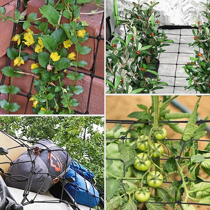 VIVOSUN 2 x 2Ft. Elastic Trellis Netting with 4 Hooks for Climbing Plants, Vegetables, Fruits, and Flowers, 2-Pack