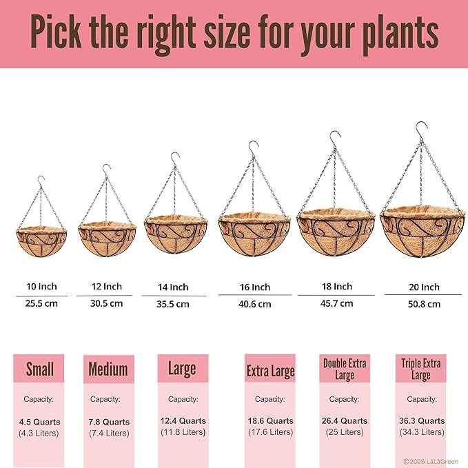 LaLaGreen Hanging Planter for Outdoor Plants (10 Inch, 6 Pack) Hanging Baskets with Coco Liner, Black Metal Wire Flower Basket Pots with Hook Hanger Balcony Porch Farmhouse Country Style Garden Decor