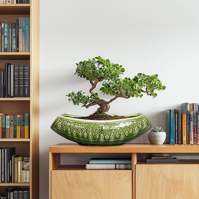 Bonsai Planter 18 Inch - Large Ceramic Succulent Pots with Drainage Hole, Bonsai Pots for Indoor Outdoor Plant, Ceramic Flower Pot, Decorative Plant Pot, Garden Decor, Housewarming Gift, Green