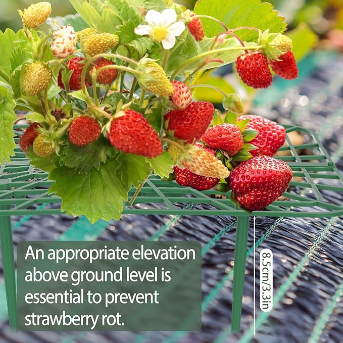 6 Sets Strawberry Plant Support with Mesh Plant Cover,Strawberry Growing Racks Sets with Iron Plant Nails and Storage Bag for Garden Strawberry Vegetables(White Net - Square)