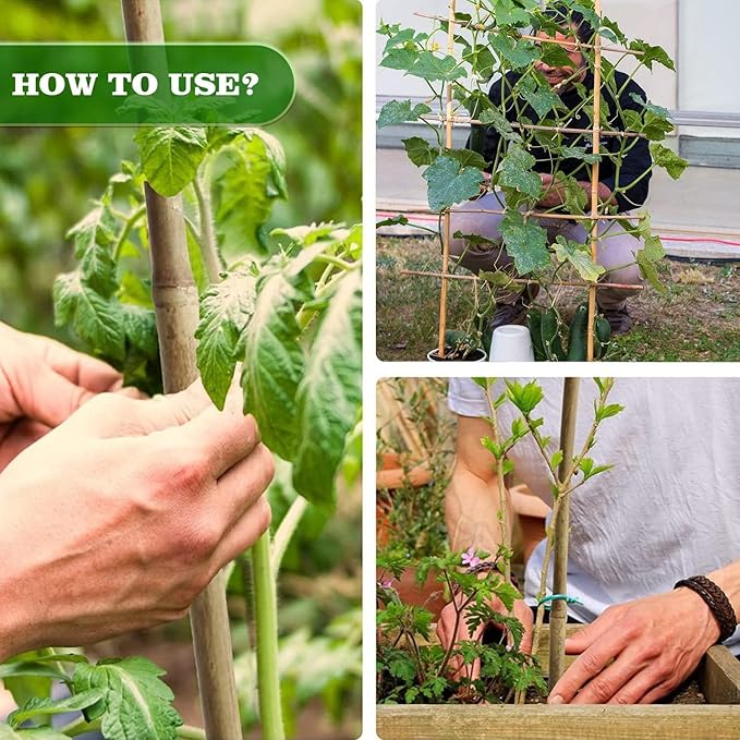 25pcs 7/20" D Thicker Heavy Duty Bamboo Stakes, 3FT Plant Stakes, Natural Garden Stakes for Tomato, Bean, Flowers,Trees Potted and Climbing Plant Support