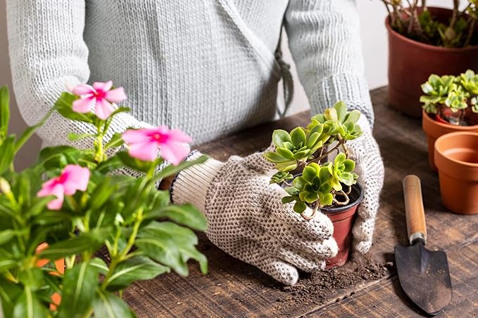 11Pcs Succulent Tools,Mini Garden Tools,Succulent Watering Tool as Plant Accessories,Succulent Gardending Hand Tools Kit for Seedling Soil,Caring Succulent,Houseplant,Gifts for Woman (No Flowerpot)