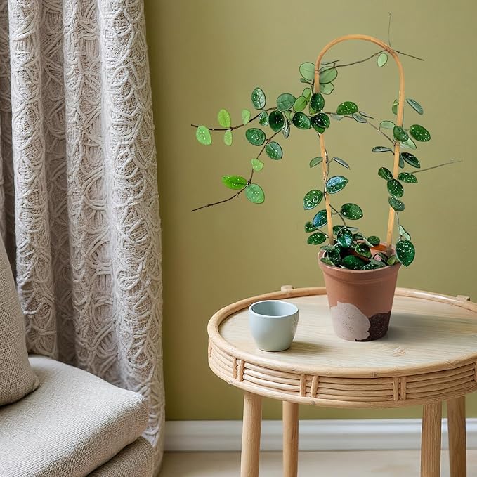 Indoor Plant Trellis for Climbing Plants 16in, 6 Pack Arch Bamboo Trellis for Potted Plants