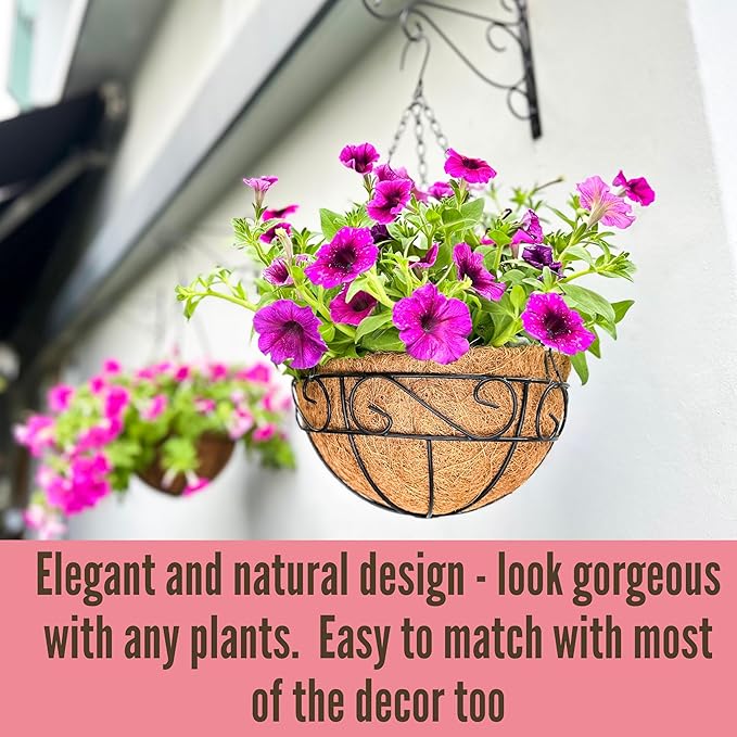LaLaGreen Hanging Planter for Outdoor Plants (10 Inch, 2 Pack) Hanging Baskets with Coco Liner, Black Metal Wire Flower Basket Pots with Hook Hanger Balcony Porch Farmhouse Country Style Garden Decor