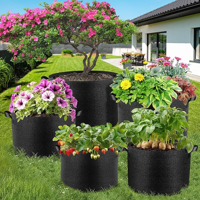 5 Pack 2 Gallon Grow Bags, Thickened Nonwoven Fabric Planter Pots with Handles, Heavy Duty 300G Garden Pots for Tomato, Potato and Vegetable