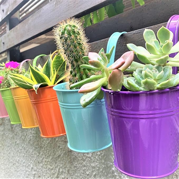 LaLaGreen Hanging Planters Outdoor -10 Pack, 6 Inch Colorful Large Metal Flower Pot, Balcony Planters Railing Hanging Herb Garden Iron Hanging Plant Buckets for Fence Rail Deck Porch Outside Wall